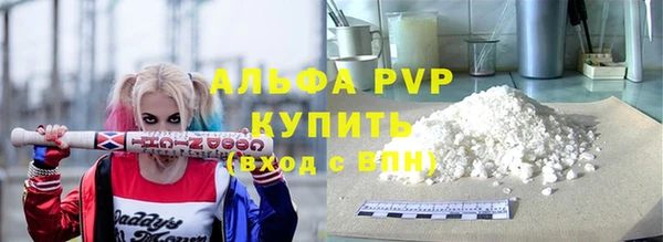 индика Елизово