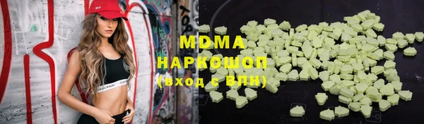 индика Елизово