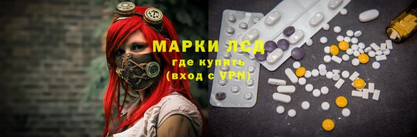 PSILOCYBIN Елабуга