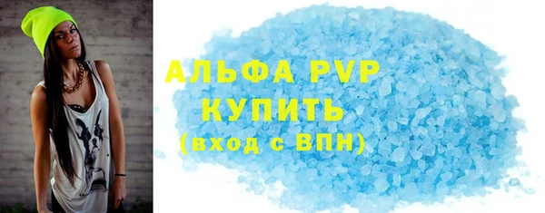 индика Елизово
