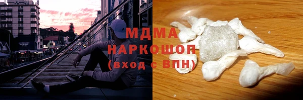 индика Елизово