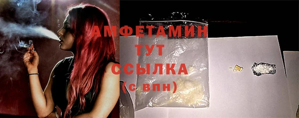 индика Елизово