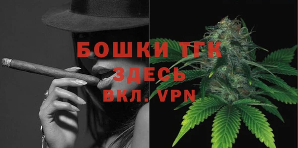 индика Елизово