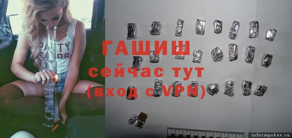 индика Елизово