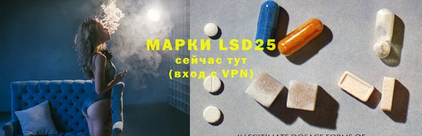 индика Елизово