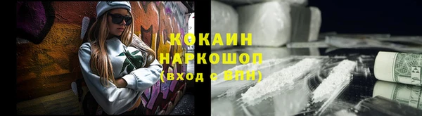 индика Елизово