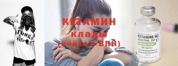 индика Елизово