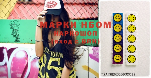 индика Елизово