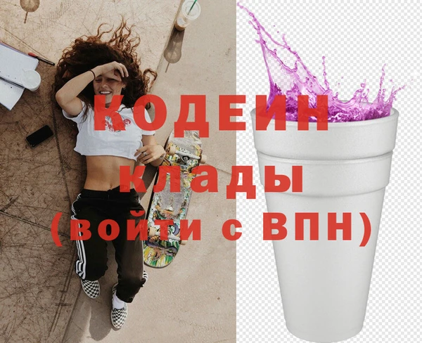 индика Елизово