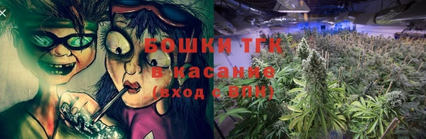 PSILOCYBIN Елабуга