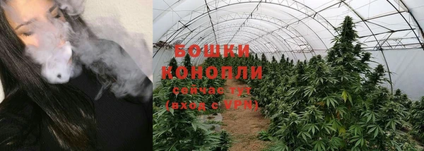 индика Елизово