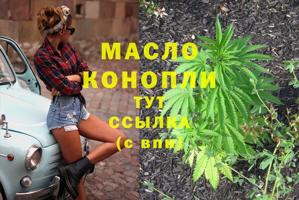 индика Елизово