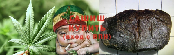 индика Елизово